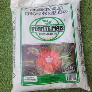 Substrato para rosas do deserto
